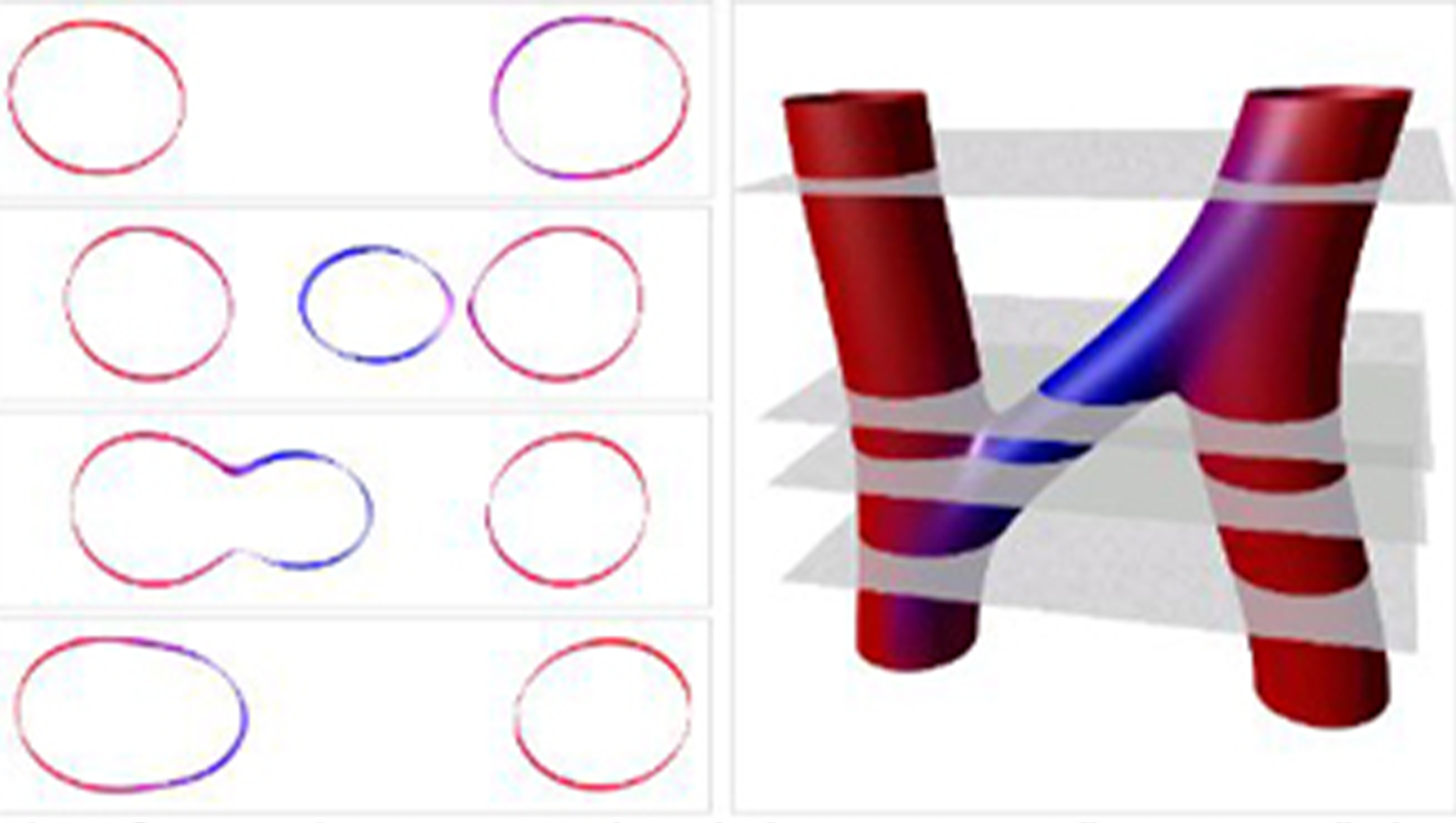 Two closed loop strings “interacting” by pinching off a third loop and sending it from one loop to the other. exchanging a third closed loop string