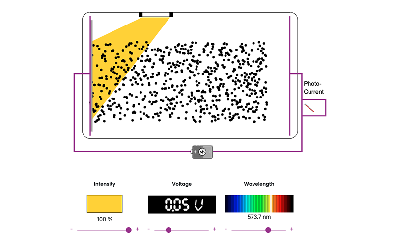 Screenshot of an animation that shows tiny dots moving across the screen